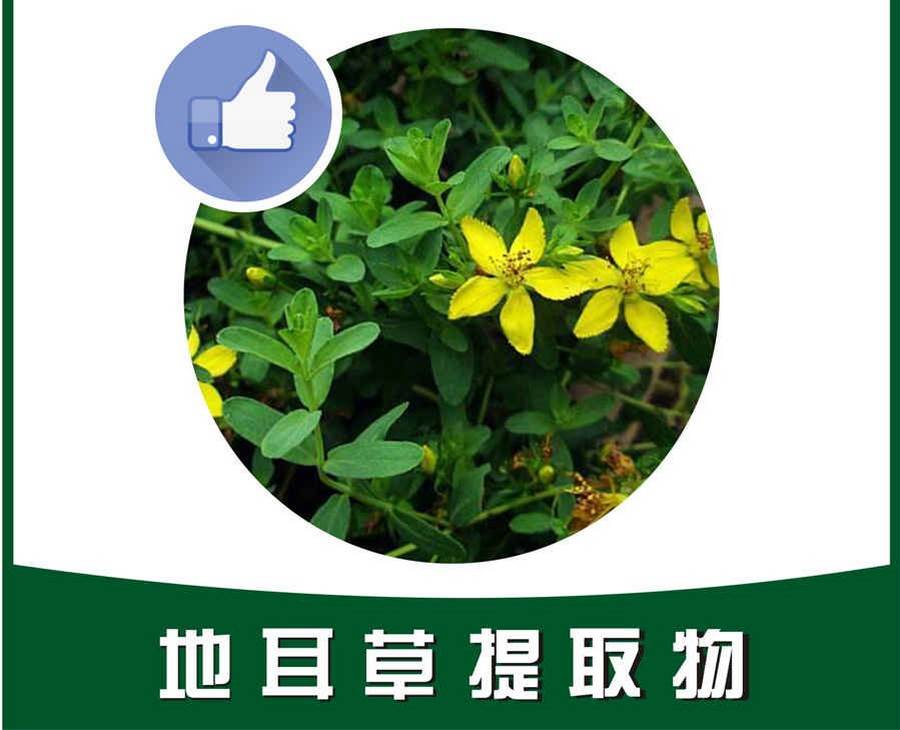 五积散 五积散 五积散 五积散