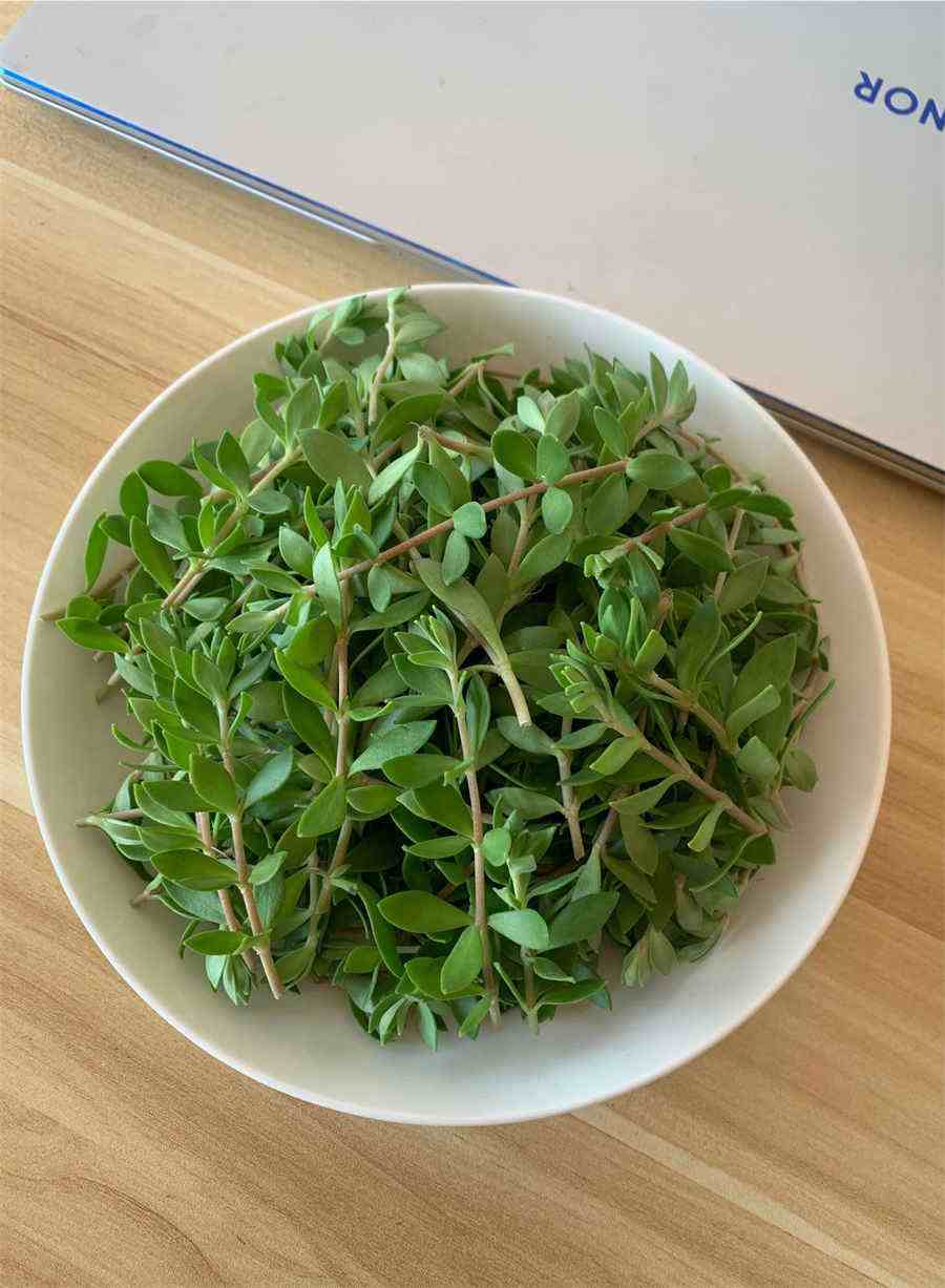 处罚宫女,处罚宫女,也不是哪里都能打的,打了这里就等于犯了王法 宫里处罚宫女的地方 处罚宫女,处罚宫女,也不是哪里都能打的,打了这里就等于犯了王法 宫里处罚宫女的地方