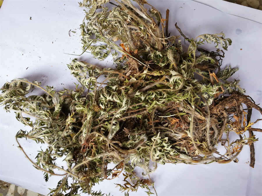 猪肉怎么炖才好吃又简单,7道猪肉做法任你选 猪肉怎么炖才好吃又简单,7道猪肉做法任你选