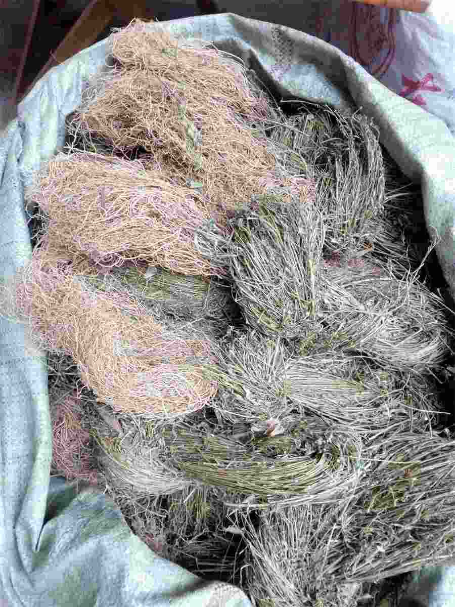 鹿茸片泡水喝方法及好处中药材使用方法中药材的正确吃法 鹿茸片泡水喝方法及好处中药材使用方法中药材的正确吃法