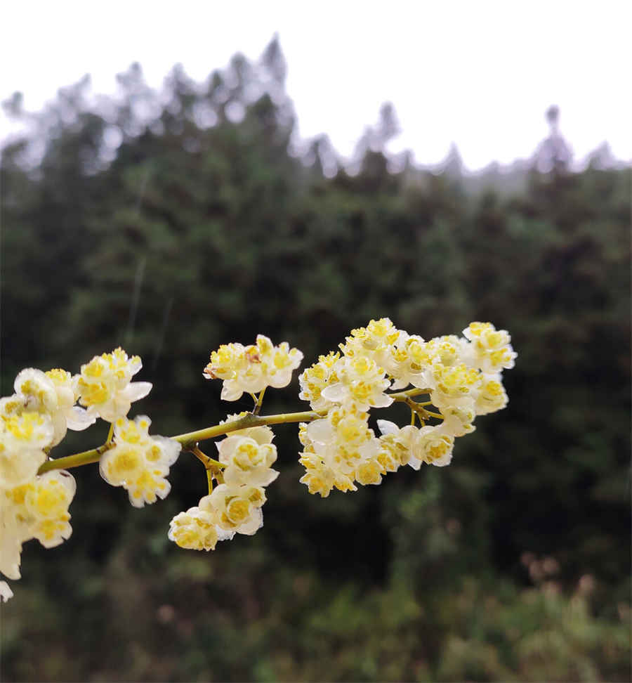 离婚官司律师费用收取标准(离婚律师收费价目表) 离婚官司律师费用收取标准(离婚律师收费价目表)