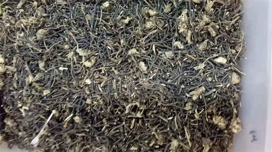 寻衅滋事罪辩护词范文(刑事二审辩护词模板) 寻衅滋事罪辩护词范文(刑事二审辩护词模板)