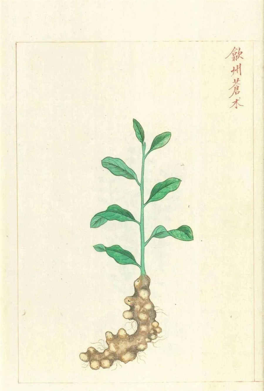 不当得利案例(不当得利案例成功判决书) 不当得利案例(不当得利案例成功判决书)