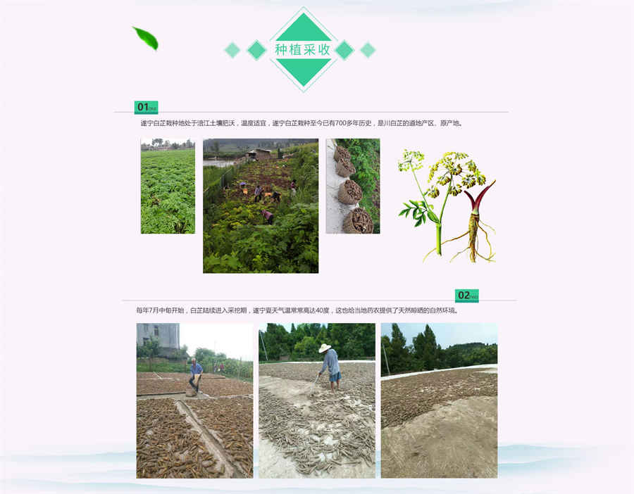 九味地黄丸的功效与作用(男性早些泄吃什么药可以根治) 九味地黄丸的功效与作用(男性早些泄吃什么药可以根治)