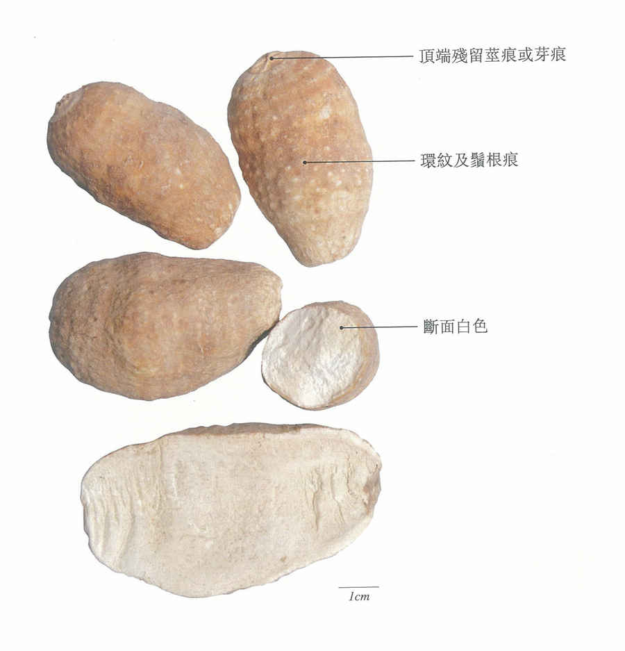 五个技巧教你怎么和女孩聊天 如何和女孩聊天 五个技巧教你怎么和女孩聊天 如何和女孩聊天