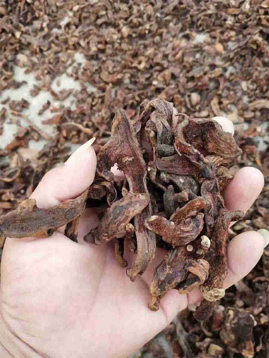 女性的购物心理分析 女人为什么喜欢买买买 女性的购物心理分析 女人为什么喜欢买买买