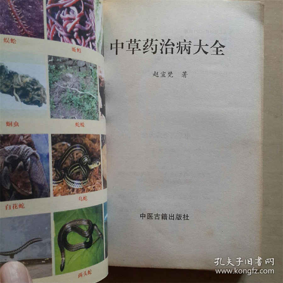 黄芪的功效与作用及吃法中药材功效大全 黄芪的功效与作用及禁忌用法及用量 黄芪的功效与作用及吃法中药材功效大全 黄芪的功效与作用及禁忌用法及用量