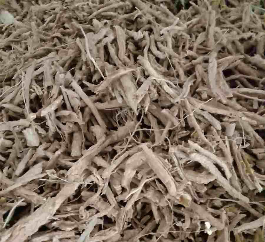 红花是什么?详解中药材红花中药材知识 中药红花的药用价值 红花是什么?详解中药材红花中药材知识 中药红花的药用价值