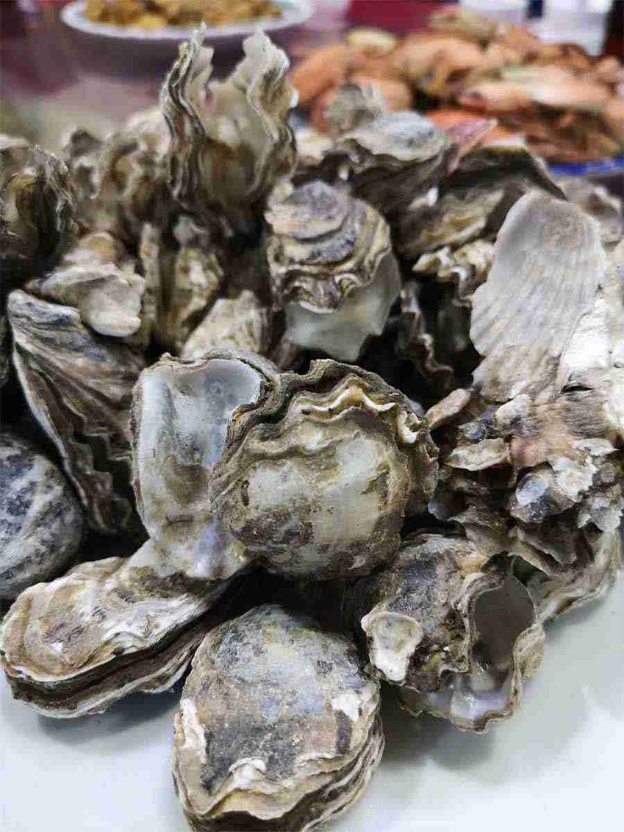 远志 远志有毒吗 远志中药 远志 远志有毒吗 远志中药