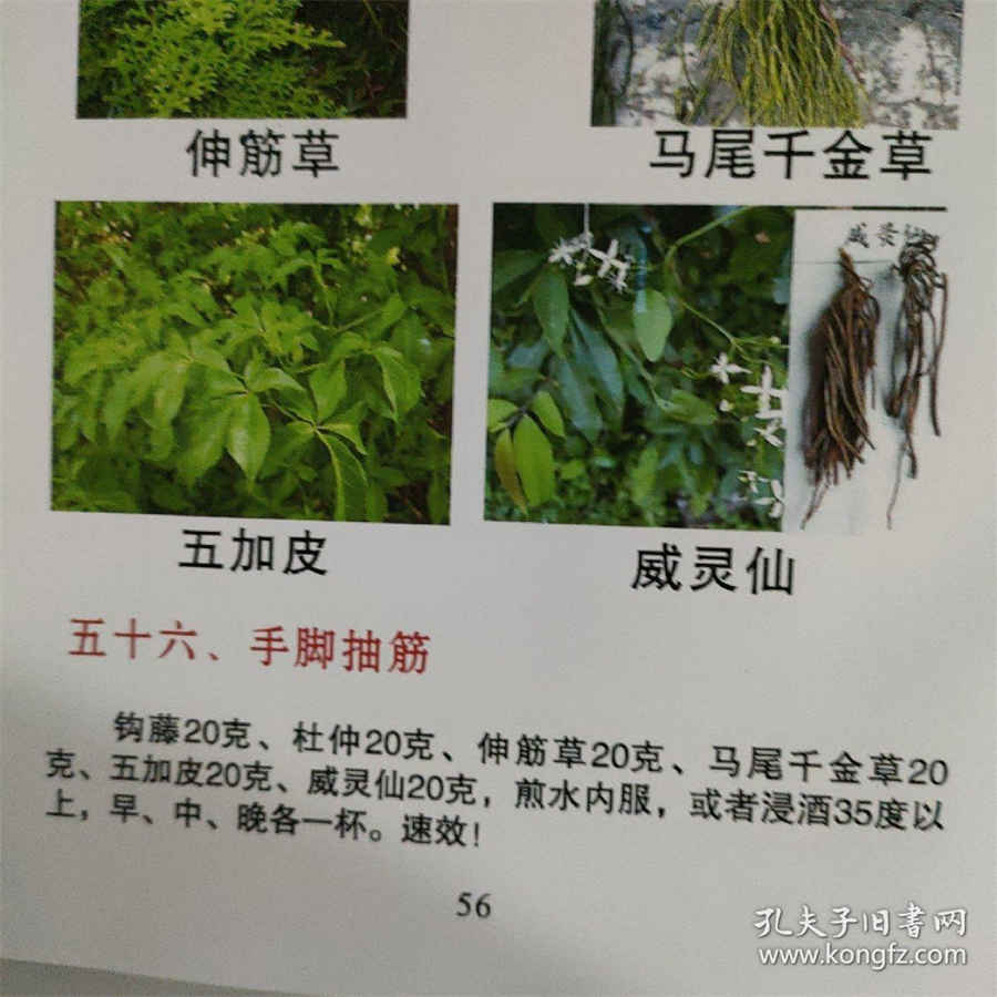 经术 经术 经术 经术