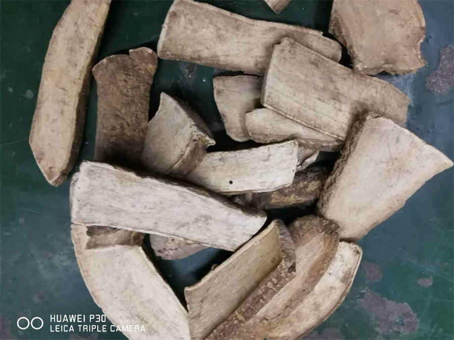 和解少阳 和解少阳的中药 和解少阳 和解少阳的中药