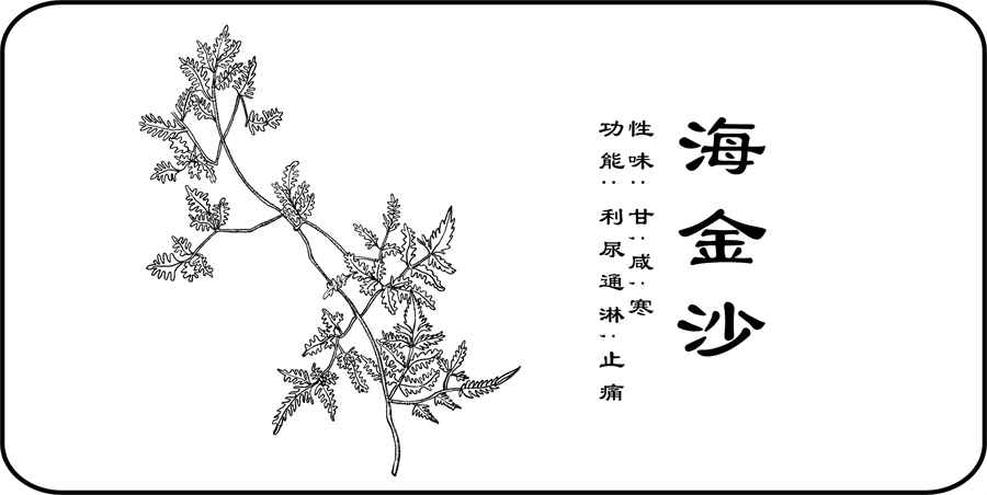 音乐用英语怎么写 纯音乐用英文怎么说? _生活百科 音乐用英语怎么写 纯音乐用英文怎么说? _生活百科