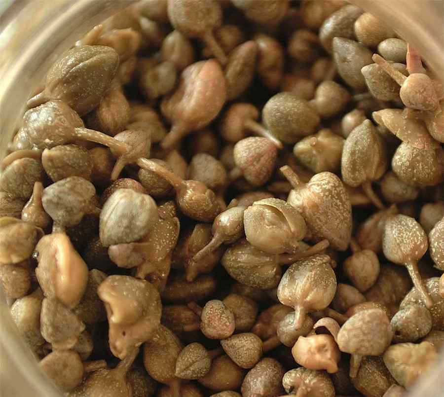 巨骨舌鱼能吃吗 巨骨舌鱼有毒吗 巨骨舌鱼能吃吗 巨骨舌鱼有毒吗