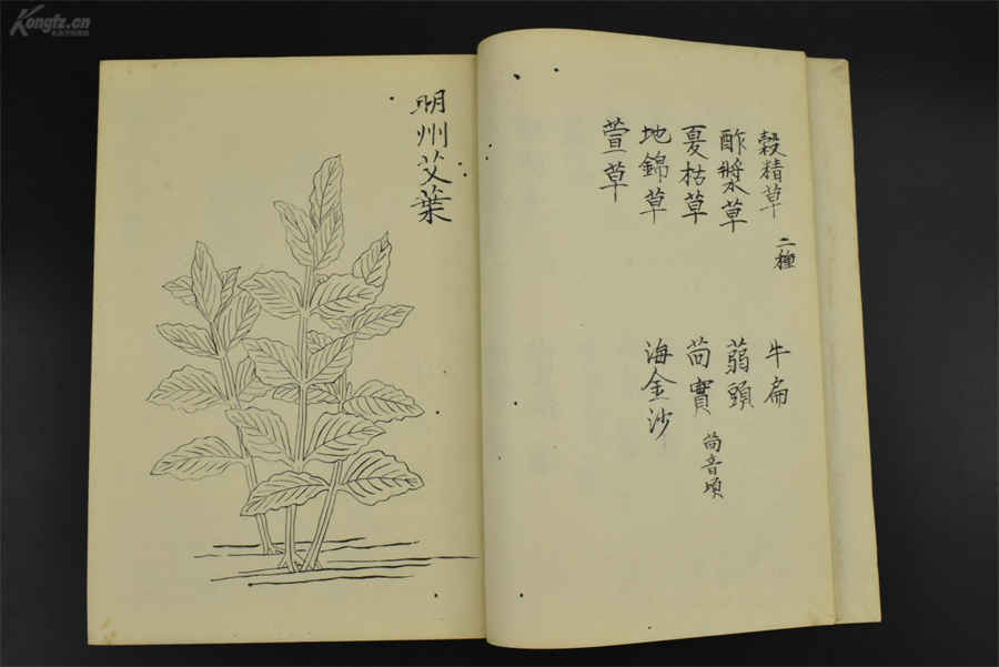 二月十八是什么星座 二月十八是黄道吉日吗 _生活百科 二月十八是什么星座 二月十八是黄道吉日吗 _生活百科