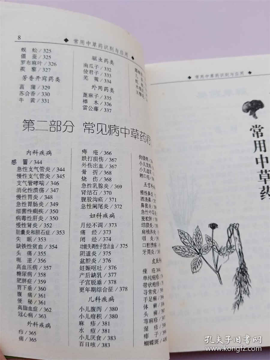 正宗霍山石斛多少钱一斤中药材价格 正宗霍山石斛多少钱一斤中药材价格