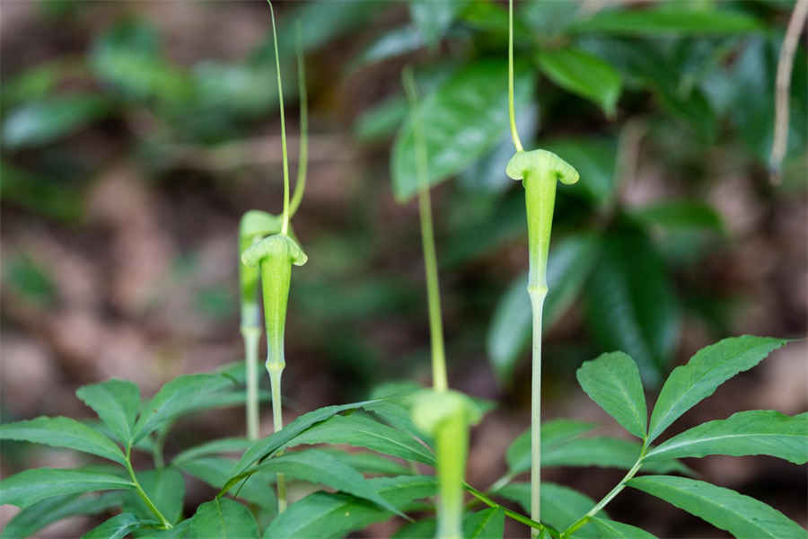 水底捞月 水底捞月 水底捞月 水底捞月