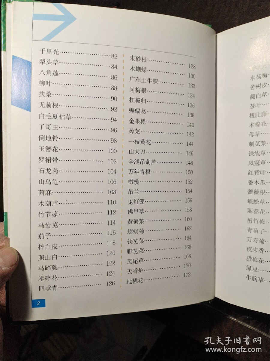 女人要有三个胸罩 三个胸 女人要有三个胸罩 三个胸