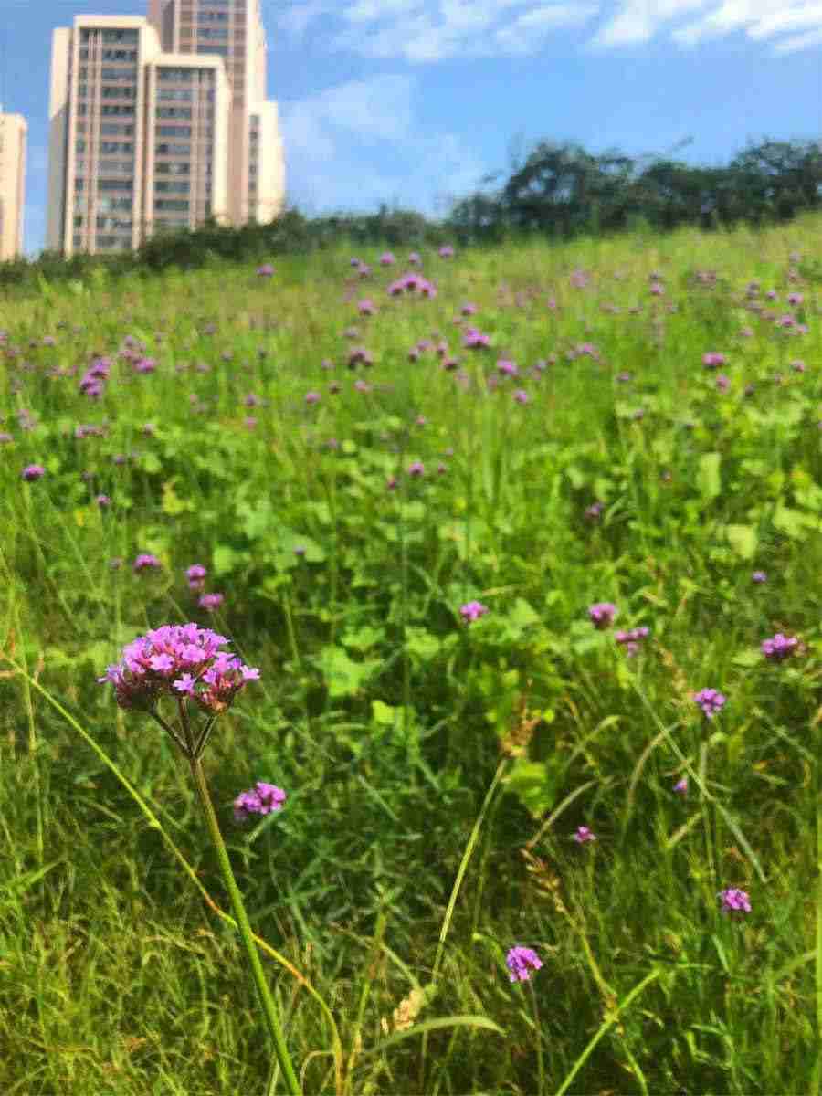 不当得利案例(不当得利案例成功判决书) 不当得利纠纷案件案例评析 不当得利案例(不当得利案例成功判决书) 不当得利纠纷案件案例评析
