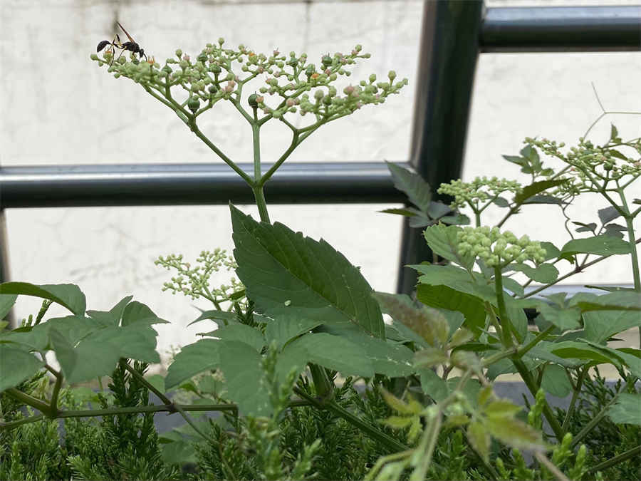 成都房产互换费用(成都房产互换费用标准) 成都房屋置换有什么政策限制 成都房产互换费用(成都房产互换费用标准) 成都房屋置换有什么政策限制