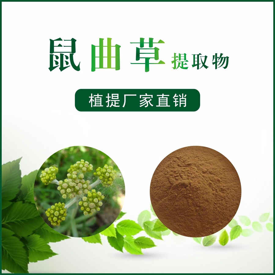 灵芝的十大功效与作用中药材功效大全 灵芝有什么功能 灵芝的十大功效与作用中药材功效大全 灵芝有什么功能