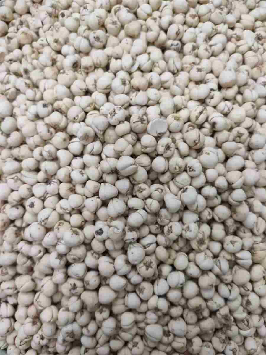 缩尿的食物缩尿吃什么尿不尽吃什么中药缩尿的食谱 缩尿的食物缩尿吃什么尿不尽吃什么中药缩尿的食谱