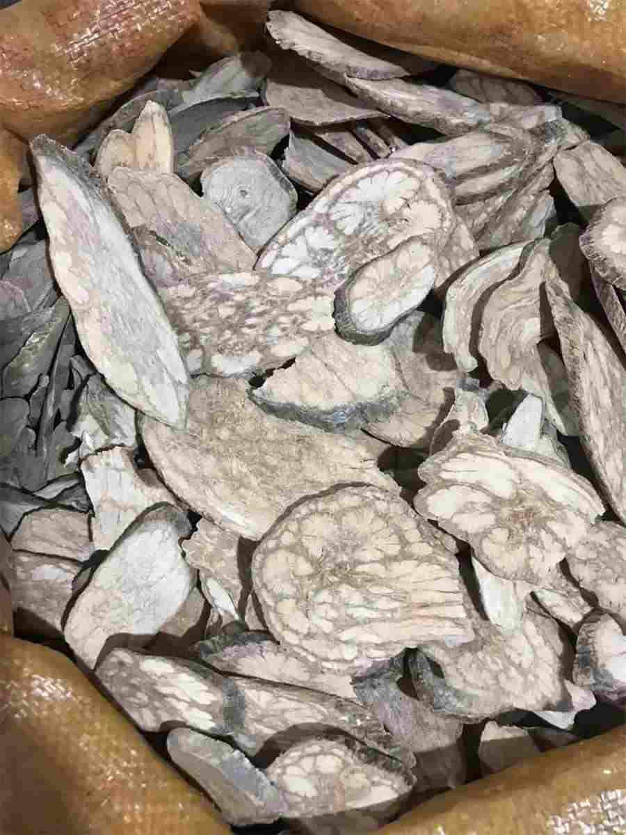 约克夏狗狗能吃哈密瓜吗(约克夏狗狗能吃山药吗) 约克夏狗狗能吃哈密瓜吗(约克夏狗狗能吃山药吗)