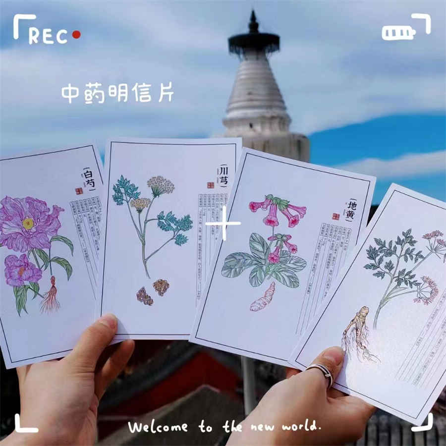 保元汤 保元汤的配方 保元汤 保元汤的配方