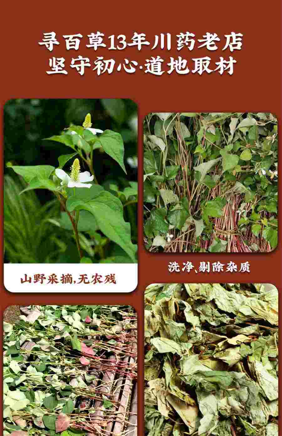 党参不适合哪些人吃中药材食用配伍禁忌 党参禁忌什么药物与食物 党参不适合哪些人吃中药材食用配伍禁忌 党参禁忌什么药物与食物