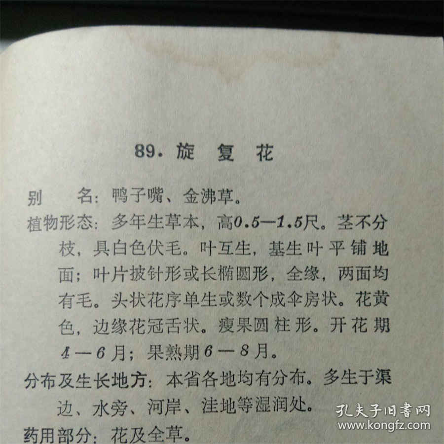 2021年奥运会乒乓球女子单打冠军是谁 2021年奥运会乒乓球女子单打冠军是谁