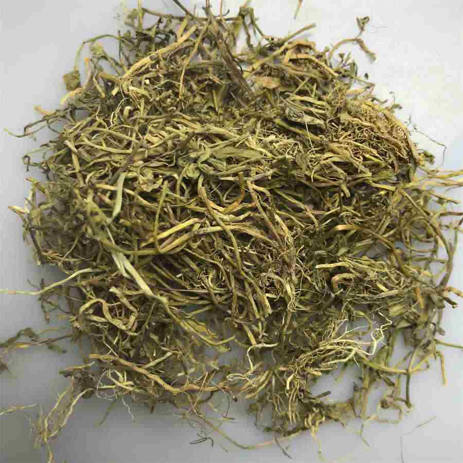 野蕨菜的功效作用及危害 野蕨菜的功效作用及危害