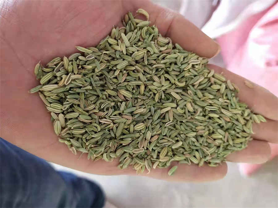 篮球比赛每队应上几人 篮球比赛每队应上几人进行 篮球比赛每队应上几人 篮球比赛每队应上几人进行