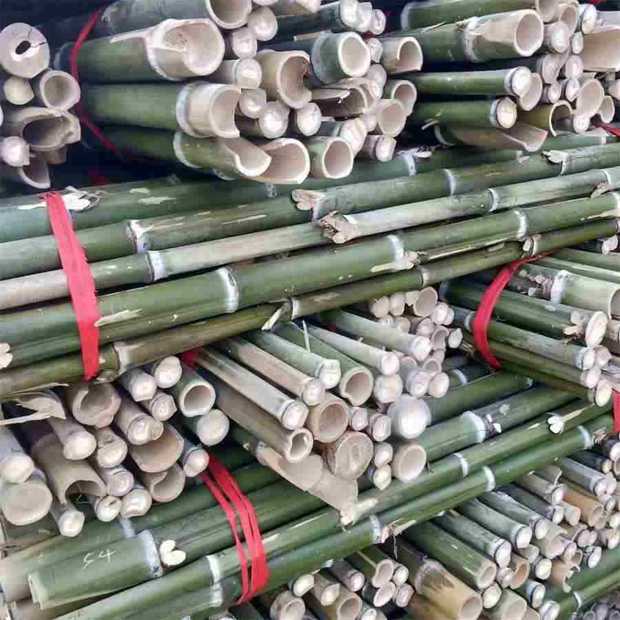 阅读计划 阅读计划怎么写 阅读计划 阅读计划怎么写