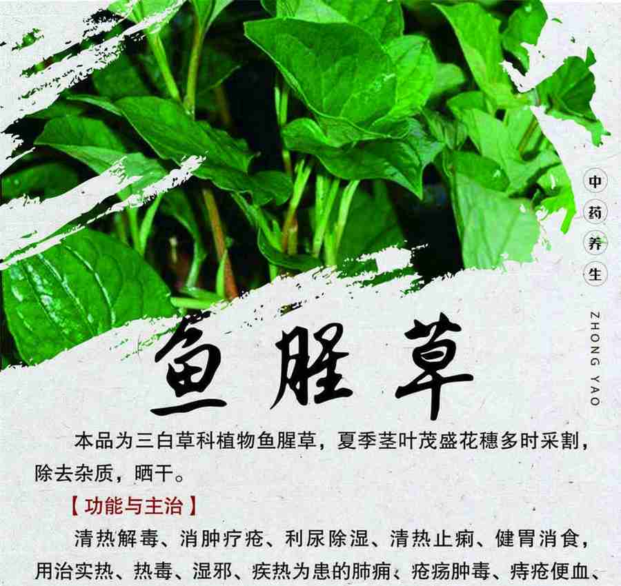 奶酪的做法家常做法怎么做好吃热量卡路里 奶酪的做法家常做法怎么做好吃热量卡路里