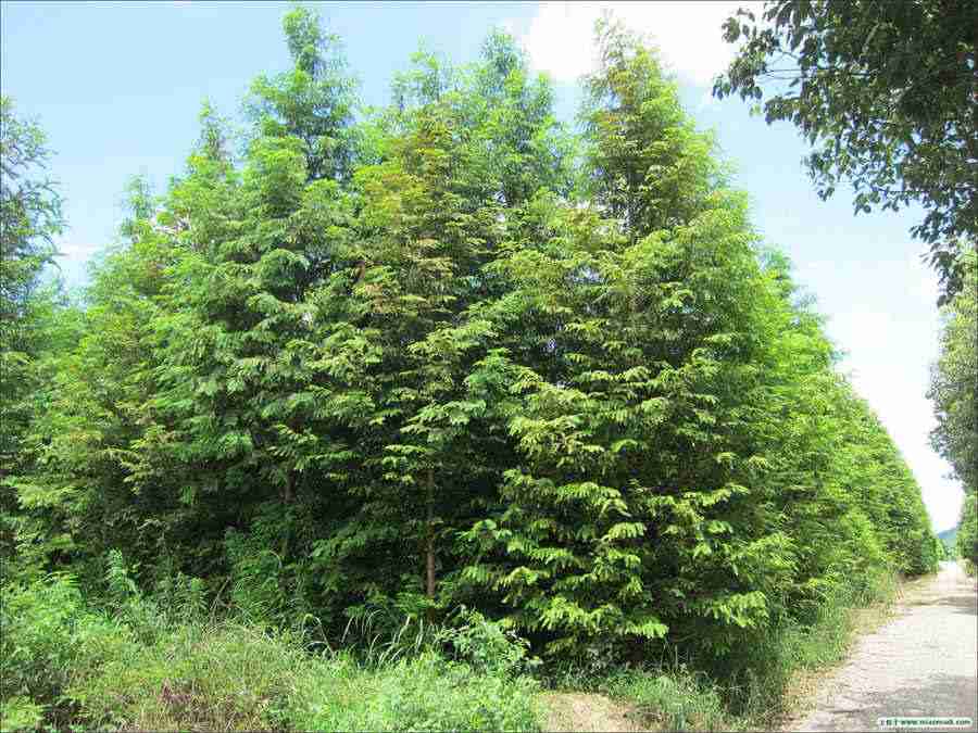 24口千兆交换机(24口交换机) 24口千兆交换机(24口交换机)