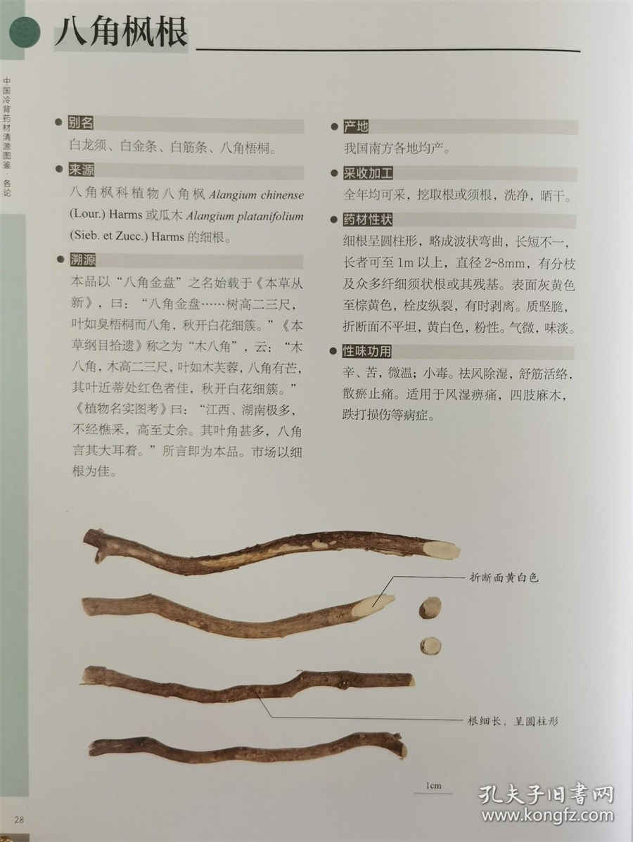 葛根粉价格多少钱一斤2019年中药材价格 葛根粉价格多少钱一斤2019年中药材价格
