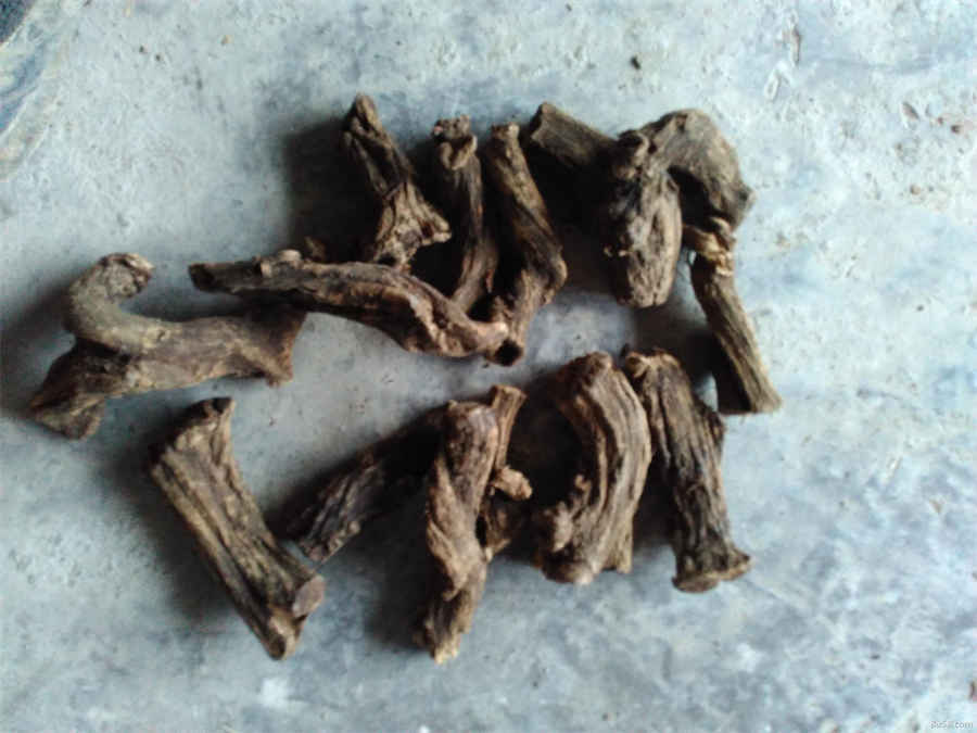 翳 翳风 翳的意思 翳 翳风 翳的意思