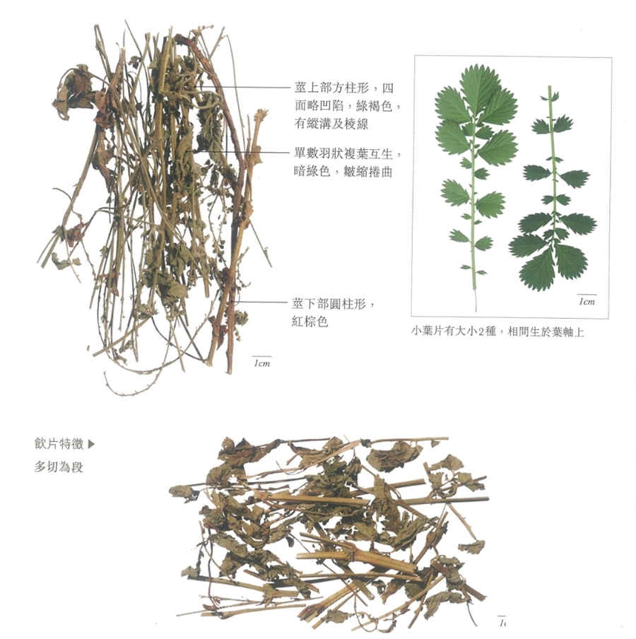 白羊座女生的性格特点 白羊座女生的性格特点