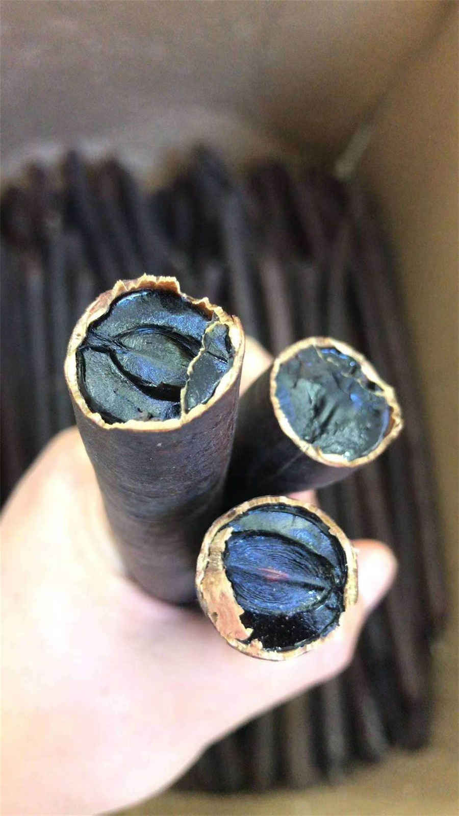 红毛丹 红毛丹