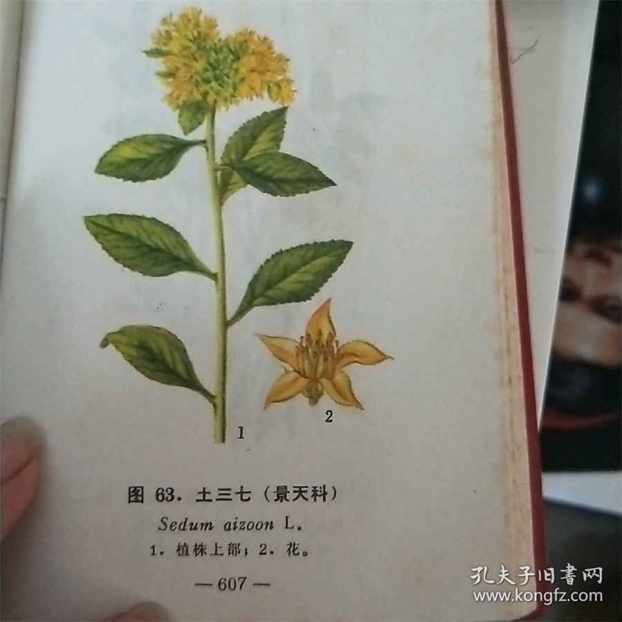 同性恋在中国是否可以合法 家长知道孩子喜欢同性怎么办 同性恋在中国是否可以合法 家长知道孩子喜欢同性怎么办
