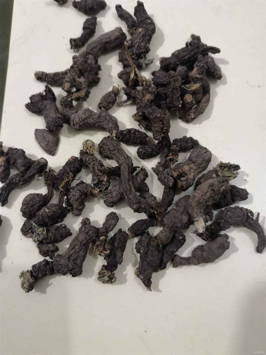 红薯和牛奶能一起吃吗 红薯和牛奶能一起吃吗孕妇 红薯和牛奶能一起吃吗 红薯和牛奶能一起吃吗孕妇