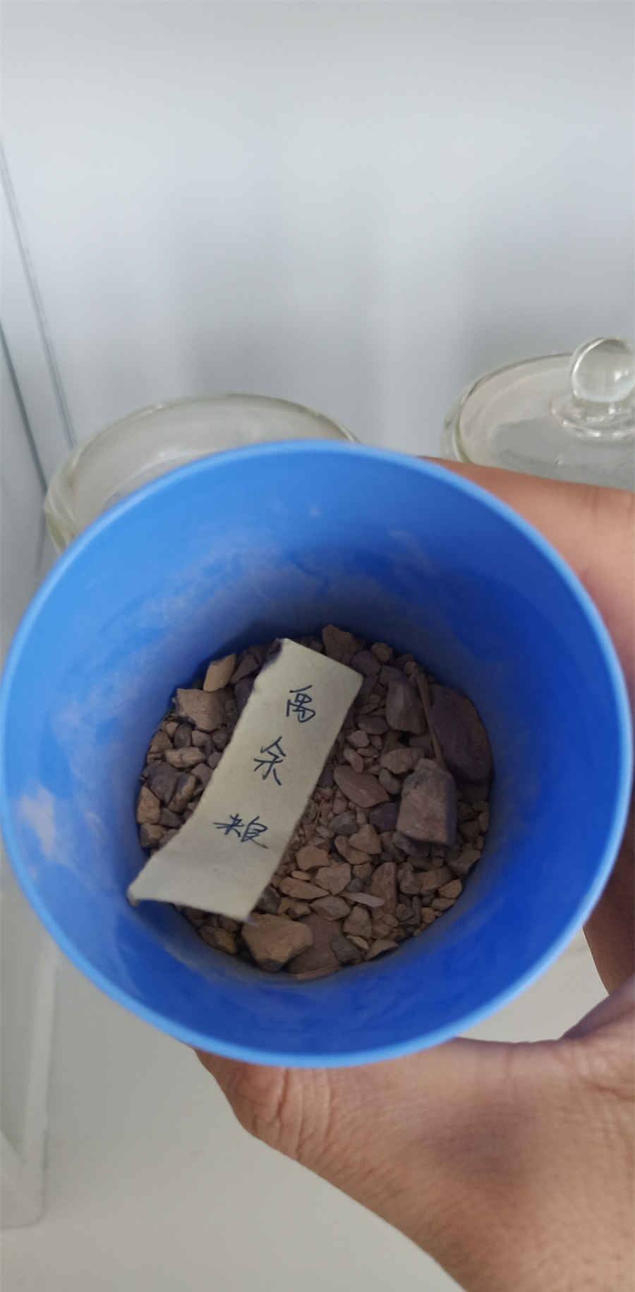 阳明病 阳明病相当于现在什么病 阳明病 阳明病相当于现在什么病