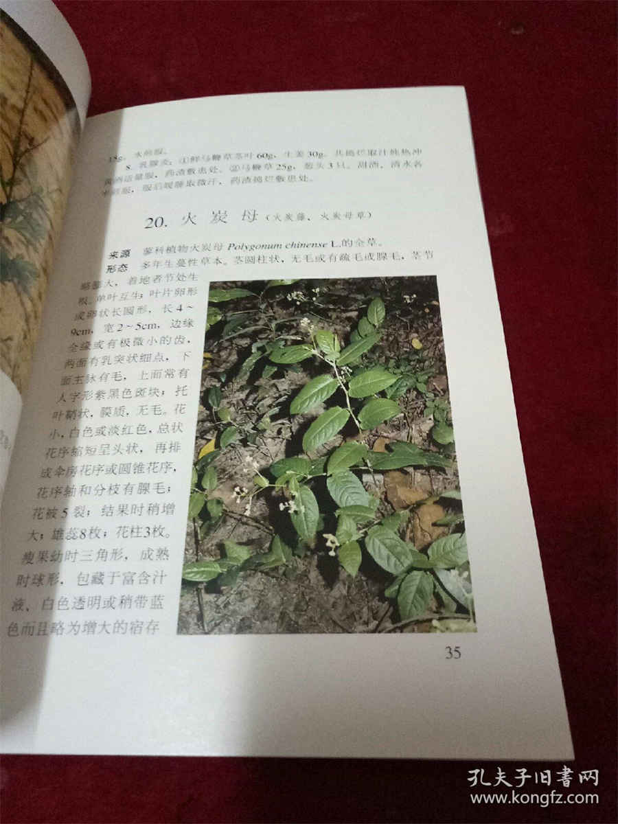 情人节应该做什么,一定要做这五件事 情人节应该做什么,一定要做这五件事