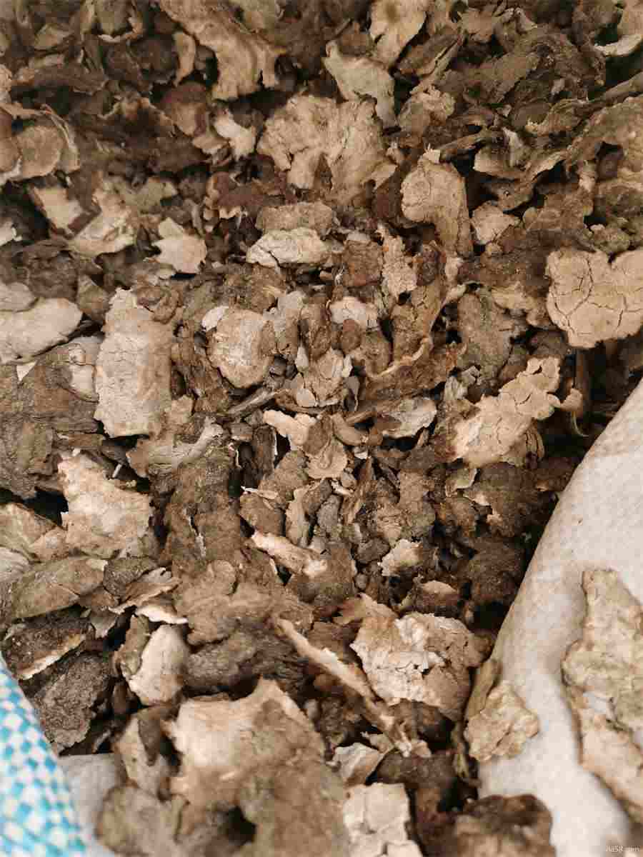 “临风听暮蝉”,这句诗是什么意思,出自哪里? “临风听暮蝉”,这句诗是什么意思,出自哪里?