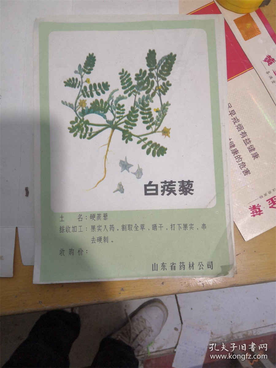 大花角Dahua Jiao 大花角潮汐表 大花角Dahua Jiao 大花角潮汐表