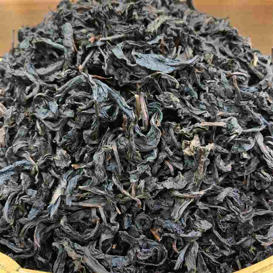 四诊心法要诀 四诊心法要诀精注精译精解 四诊心法要诀 四诊心法要诀精注精译精解
