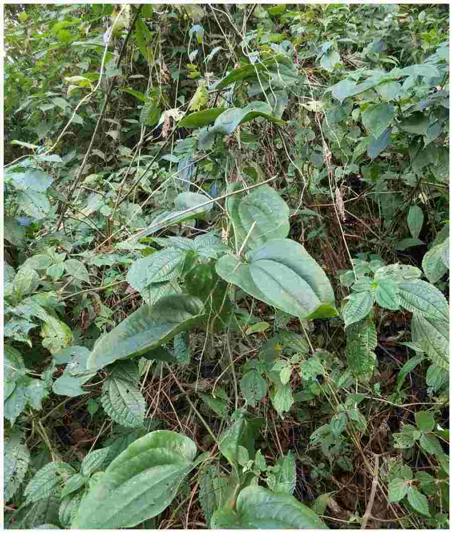 短篇小说有哪些推荐?中外都可以? 有哪些短篇小说的书 短篇小说有哪些推荐?中外都可以? 有哪些短篇小说的书