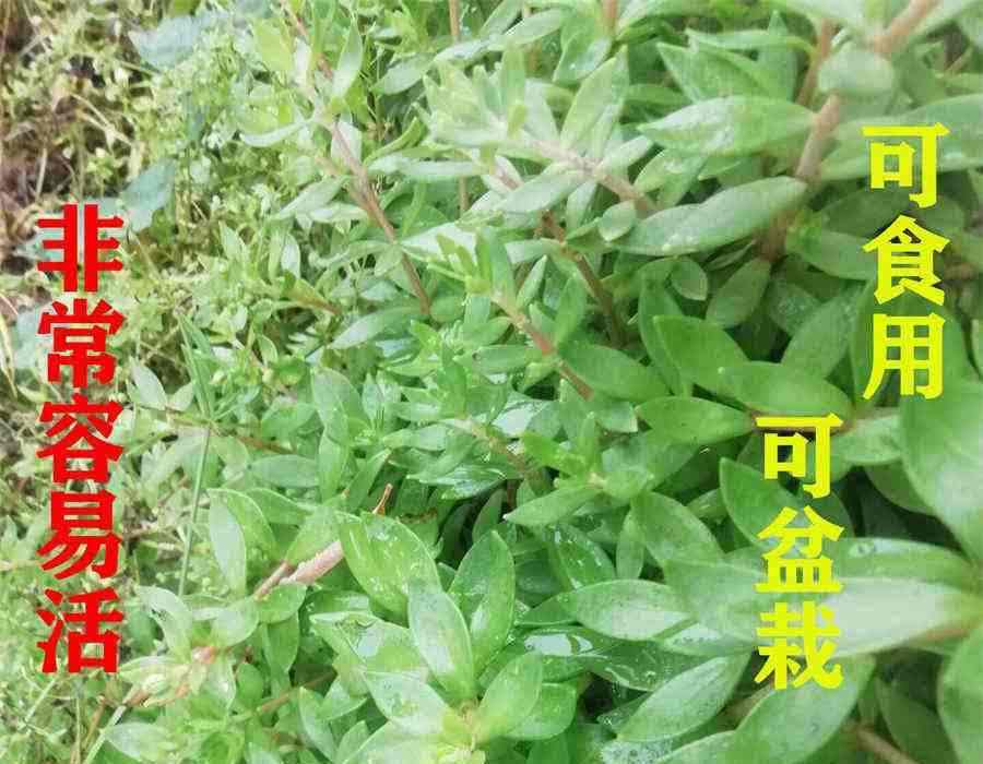 第一次约会地点选在哪里比较好 第一次约会地点选在哪里比较好