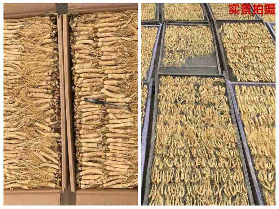 小猫吃多了(小猫吃多了有什么症状) 小猫吃多了(小猫吃多了有什么症状)