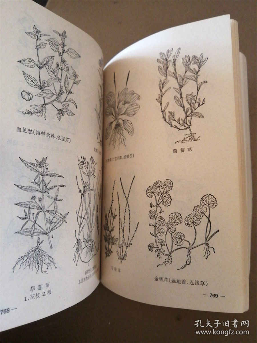 绝代双骄十二星相揭秘 绝代双骄12星象结局 绝代双骄十二星相揭秘 绝代双骄12星象结局