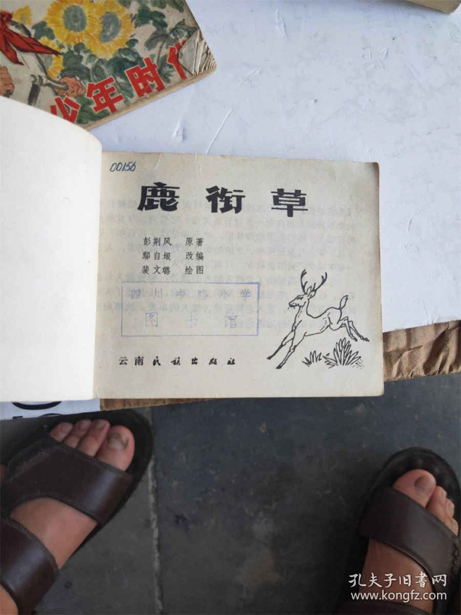 碎嘴子是什么意思碎嘴子的解释汉语词典 碎嘴子是什么意思碎嘴子的解释汉语词典